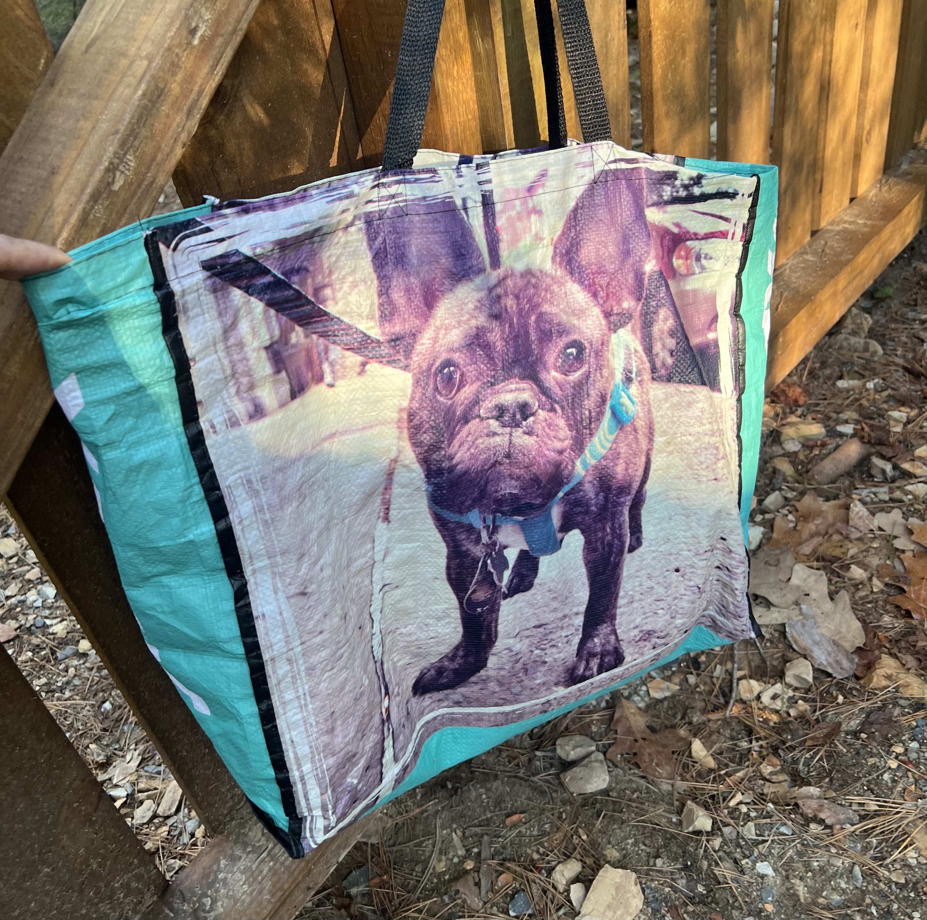 Dog travel things all fit in this bag